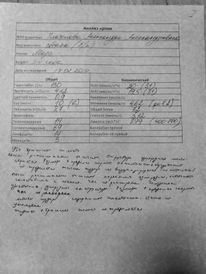 анализ и узи Марса3 .JPG