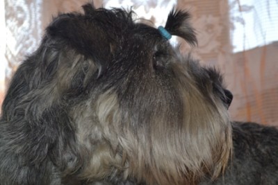 КРАСАВЕЦ КУЗЯ.JPG